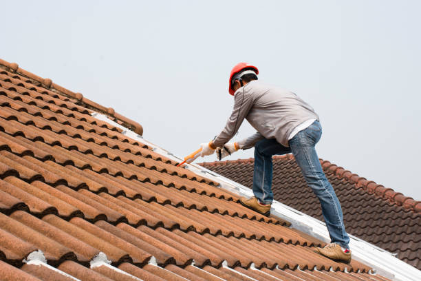 Best Wood Shake Roofing  in Grant, NE